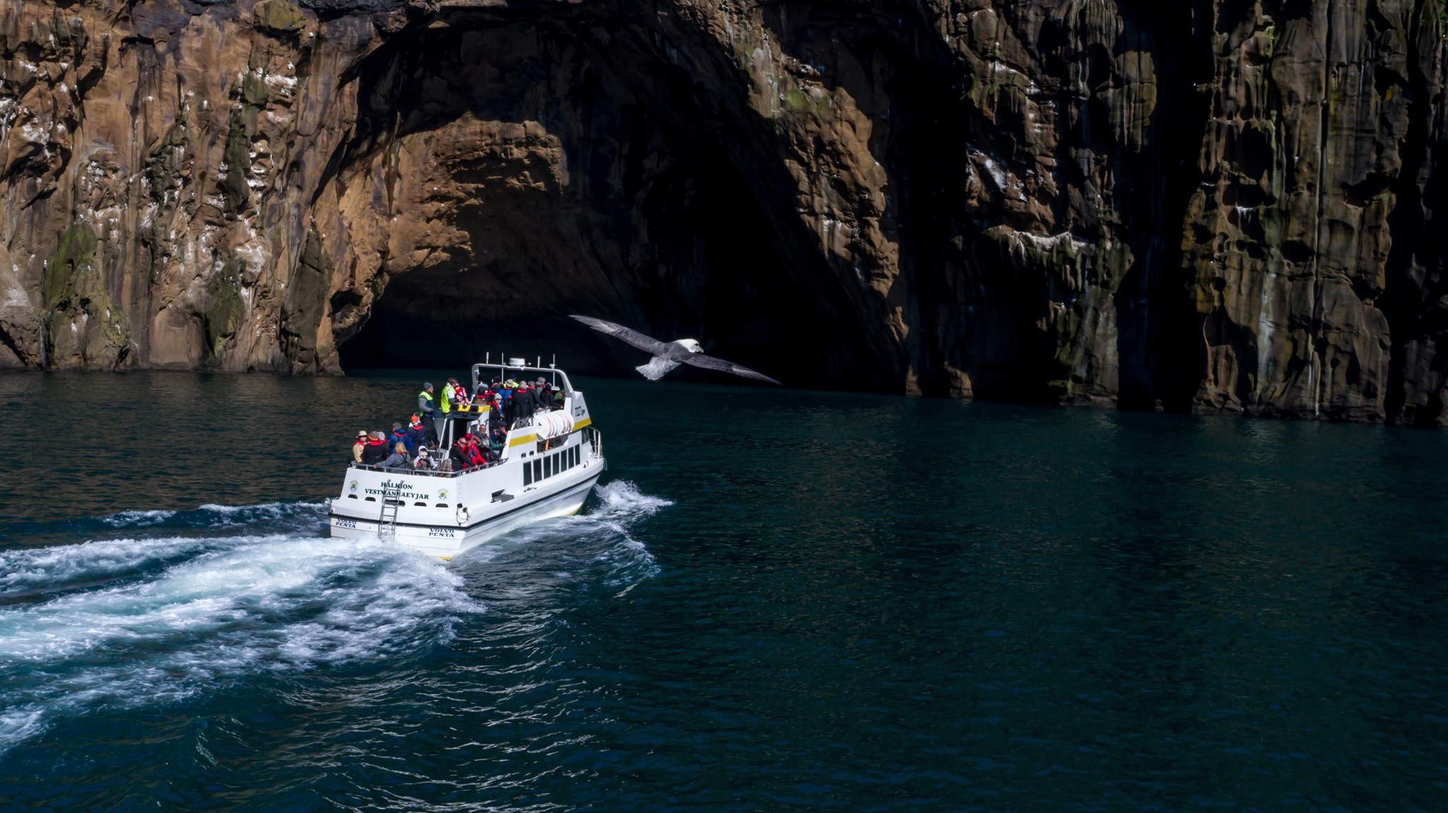 Avistamiento de ballenas desde Reykjavík