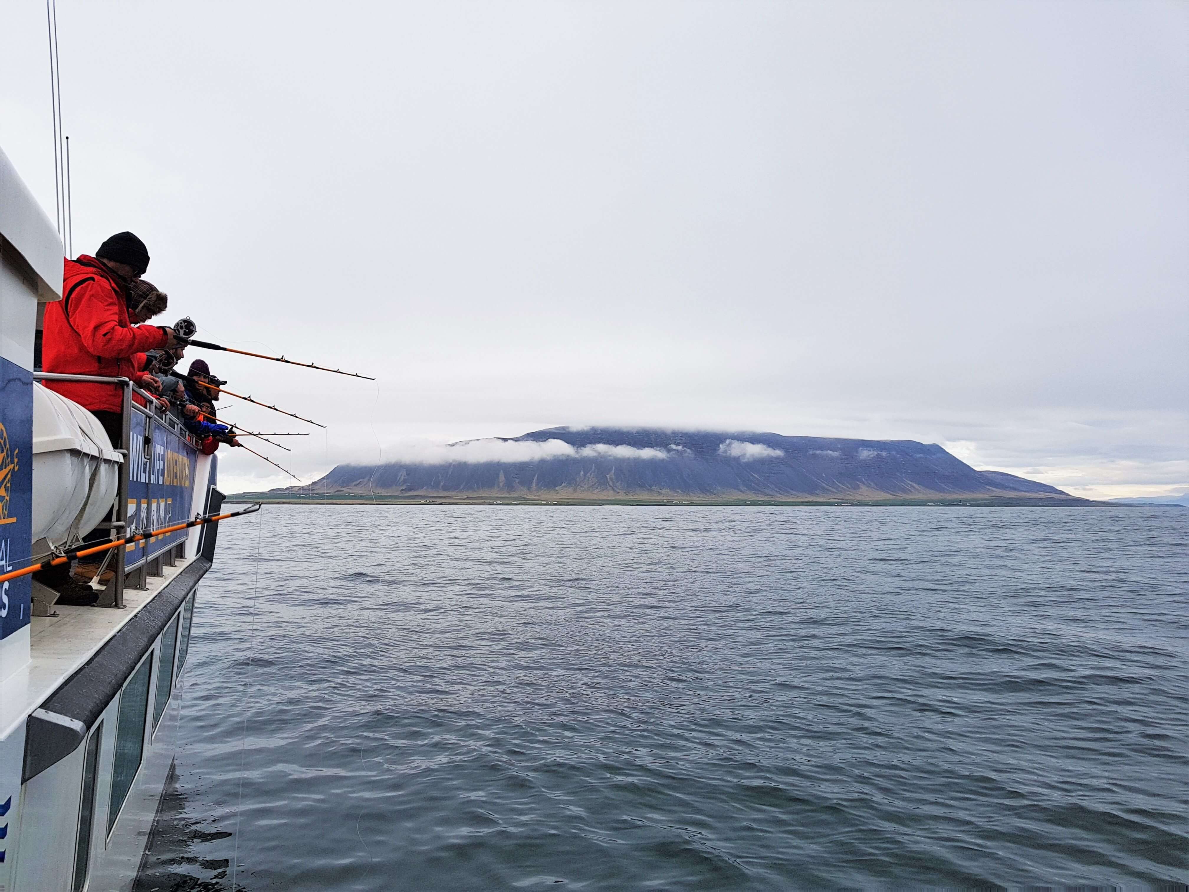 excursion pesca islandia