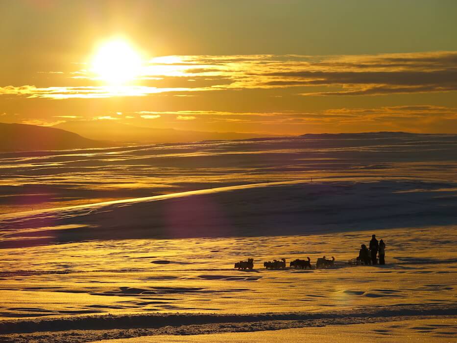 Climb aboard for a dog sledding adventure tour in Iceland