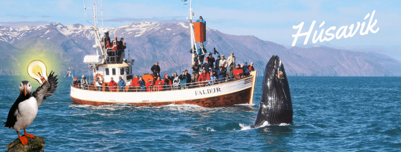 Qué hacer en Húsavik, la capital de las ballenas