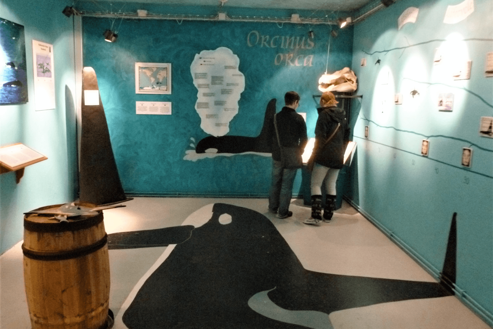 Interior del Museo de Ballenas, centro de Húsavík