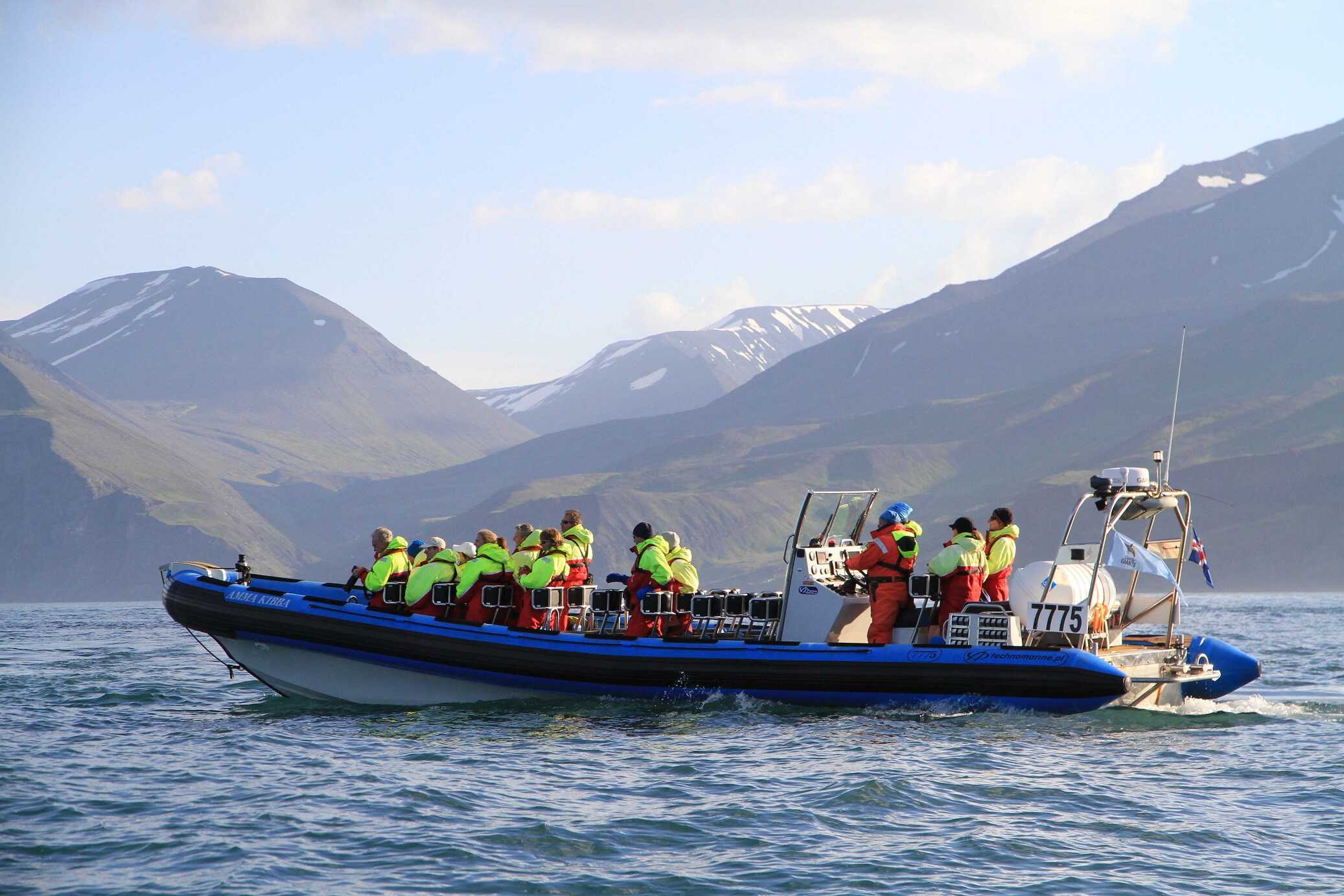 Excursión de avistamiento de ballenas en Húsavík, norte de Islandia