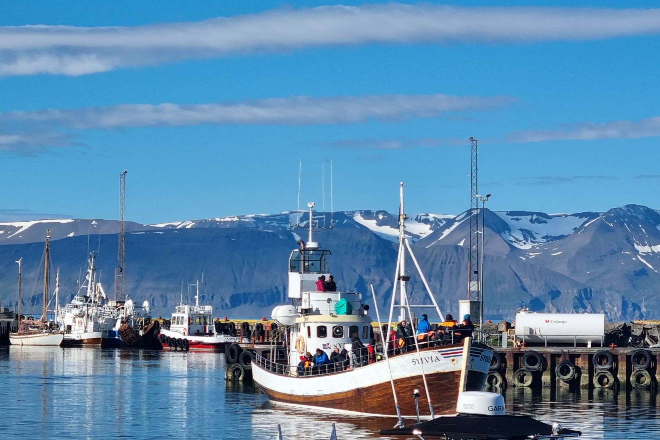 puerto husavik para avisttamiento ballenas