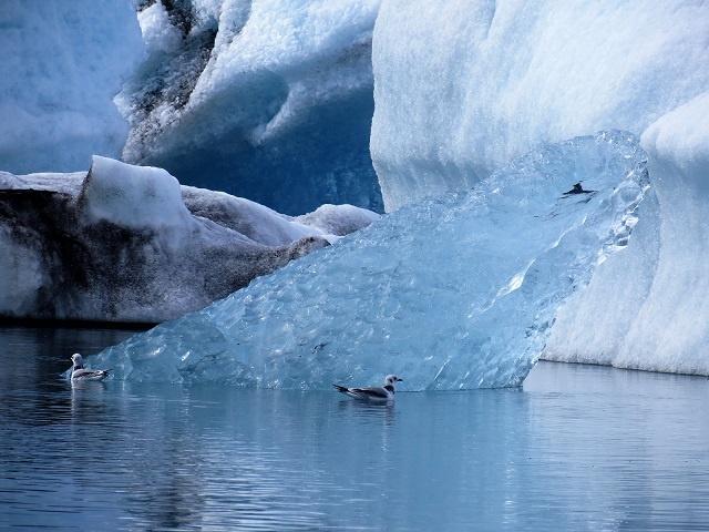 Laguna glaciar en Islandia