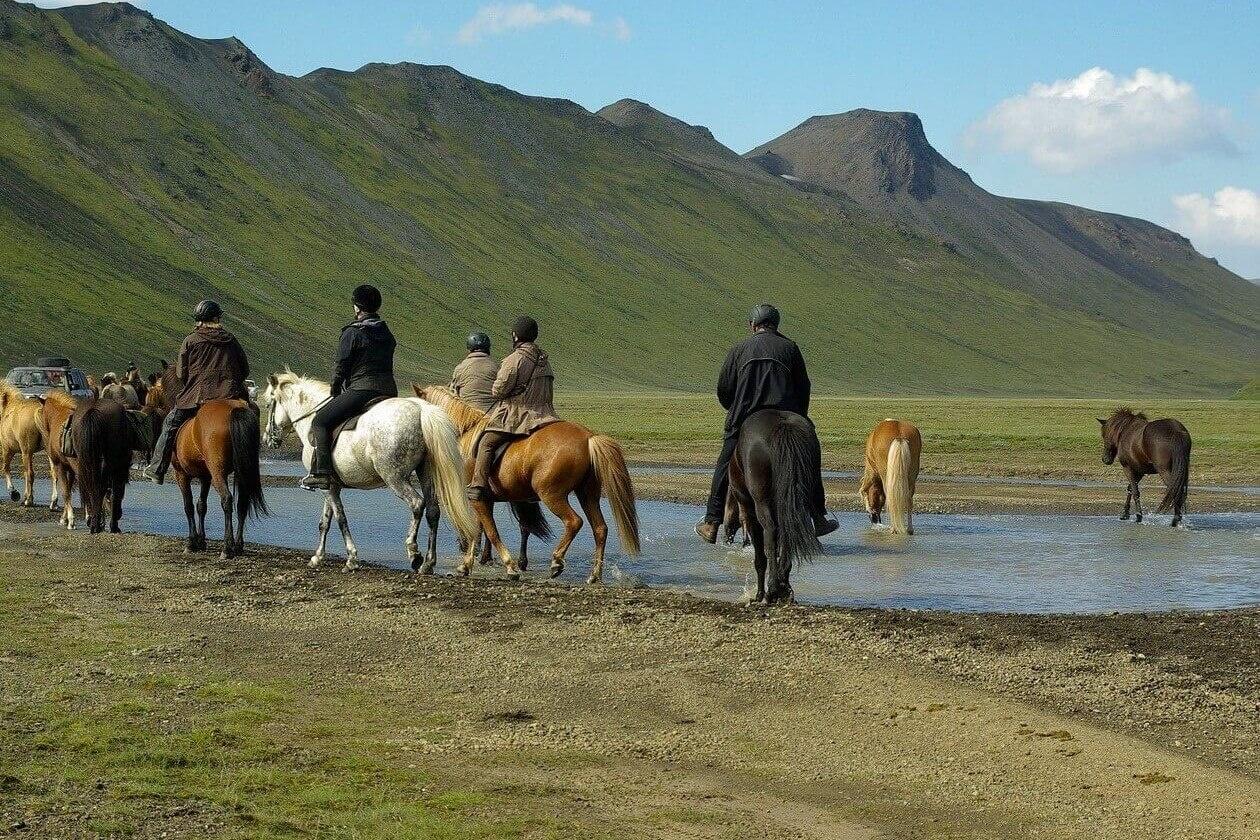 Caballos en Islandia, excursión al caballo