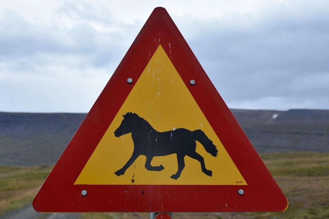 Señal de caballo en Islandia