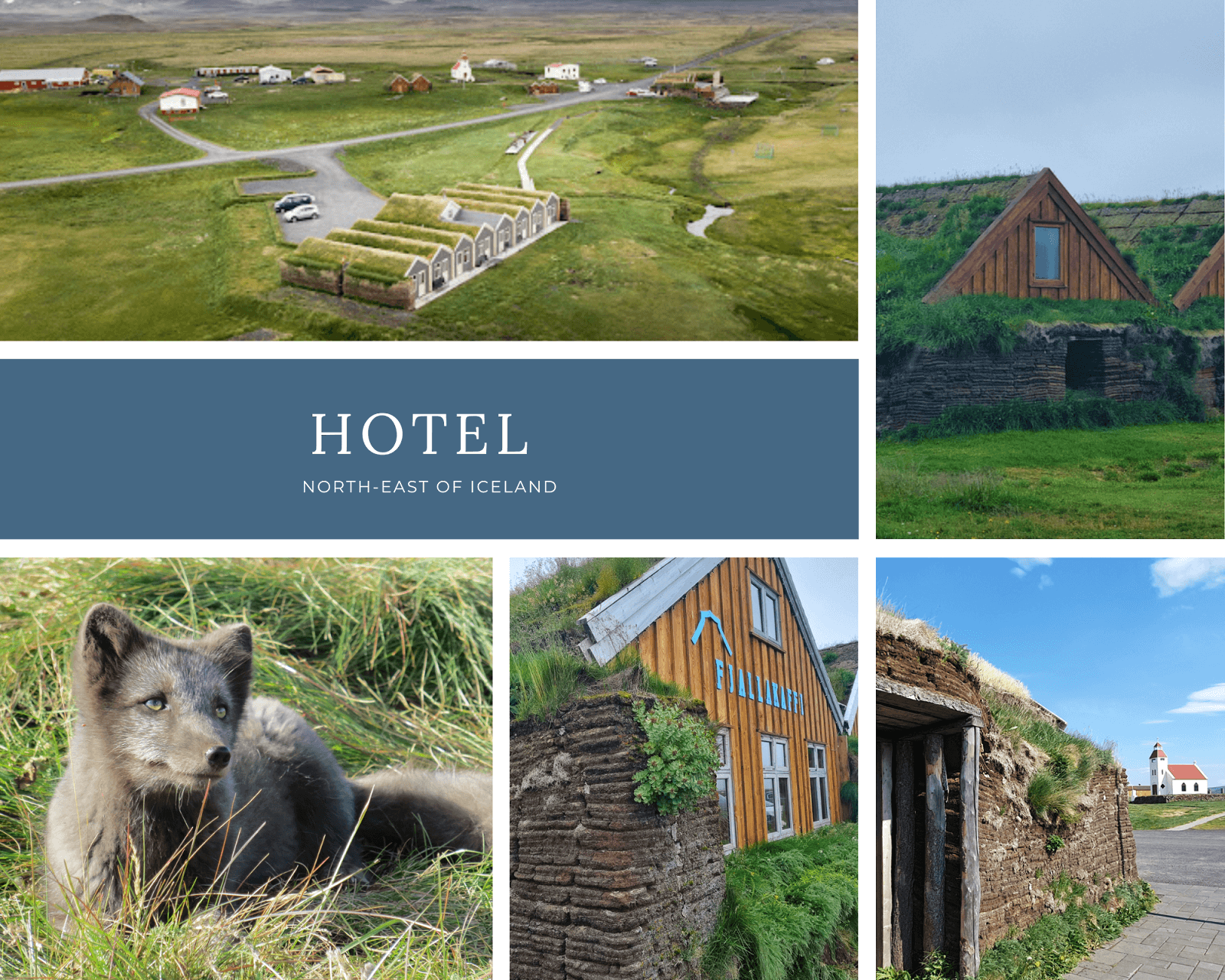 Hotel en granja en Islanidia