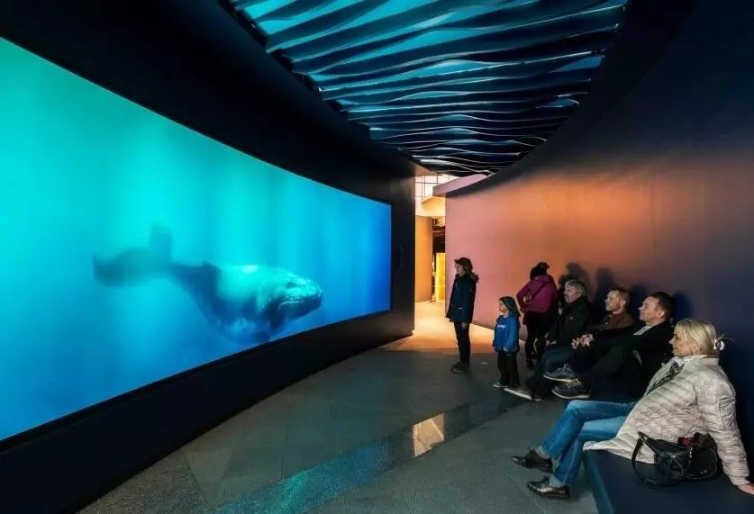 See whales in the Perlan Museum in Reykjavik, Iceland