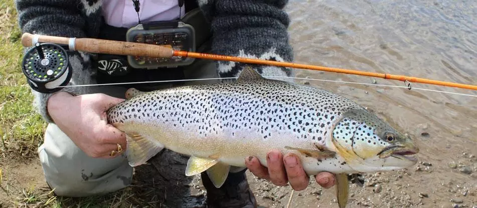 Excursión de pesca de trucha en Islandia