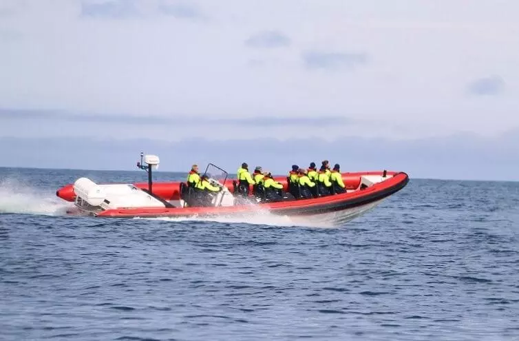 Avistamiento de ballenas en lancha rápida desde Reykjavík