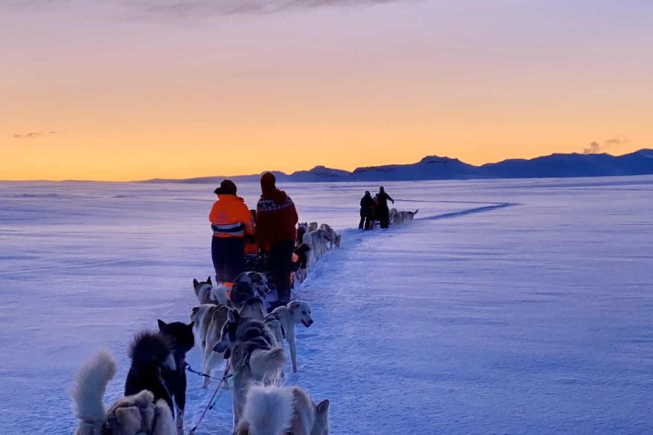 trineo-de-perros-en-islandia-actividad-invierno