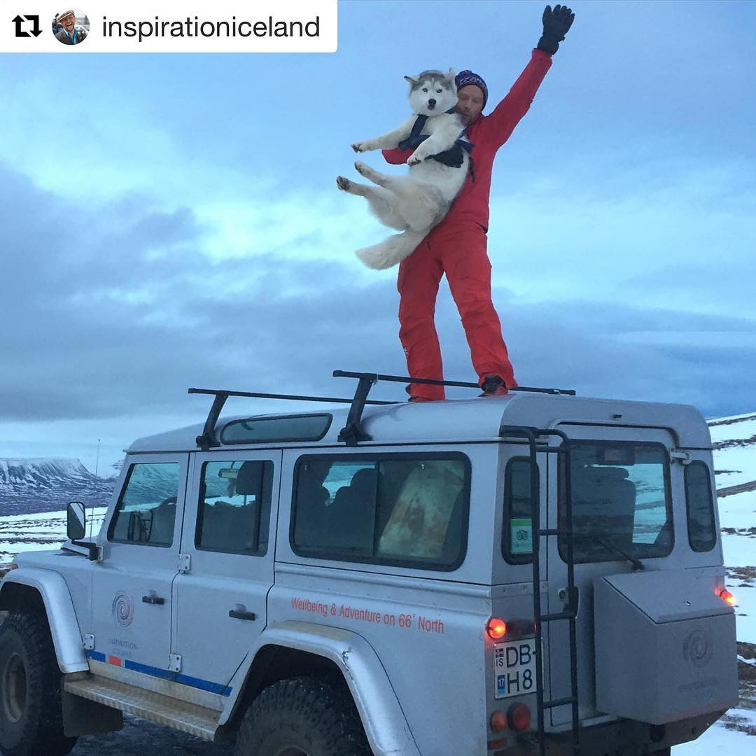 Our partners in North Iceland are offering dogsledding for the winter! Contact us if you'd like to lead your group or join a ...